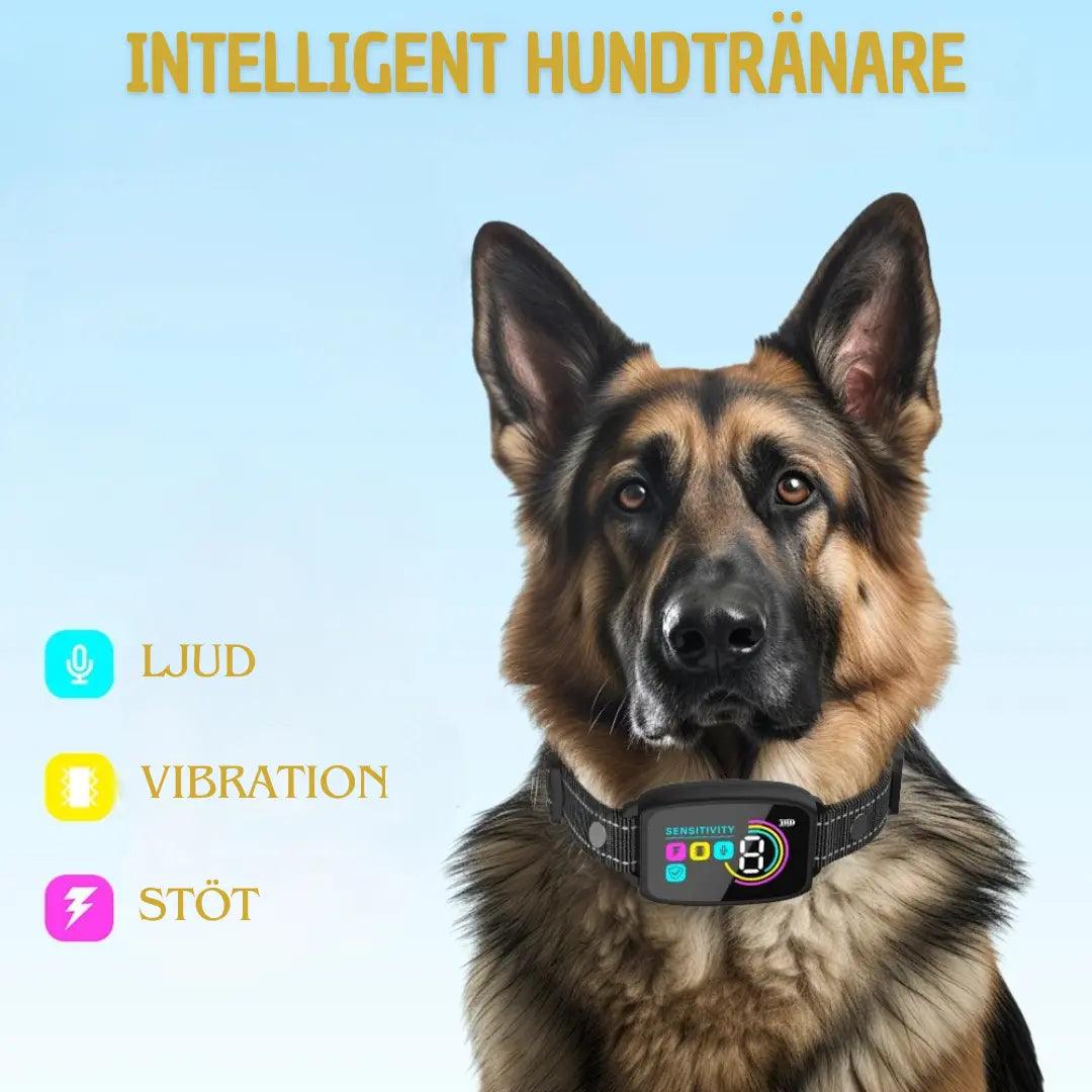 Effektivt Anti-Skäll Halsband för Hundar - Smart Display och Lång Batteritid