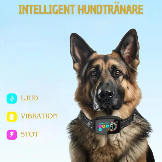 Effektivt Anti-Skäll Halsband för Hundar - Smart Display och Lång Batteritid